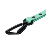 BioThane® Waterproof Dog Leash - Seafoam