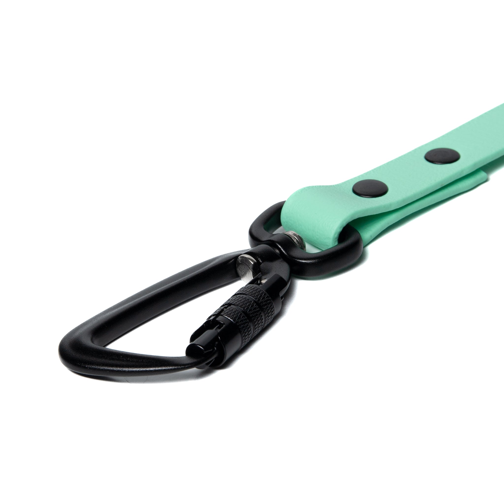 BioThane® Waterproof Dog Leash - Seafoam