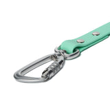 BioThane® Waterproof Dog Leash - Seafoam