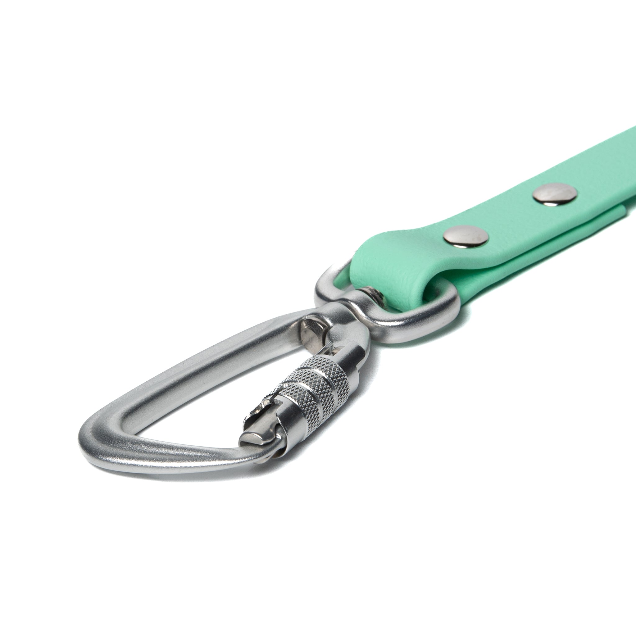 BioThane® Waterproof Dog Leash - Seafoam