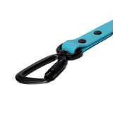 BioThane® Waterproof Dog Leash - Sky Blue
