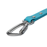 BioThane® Waterproof Dog Leash - Sky Blue