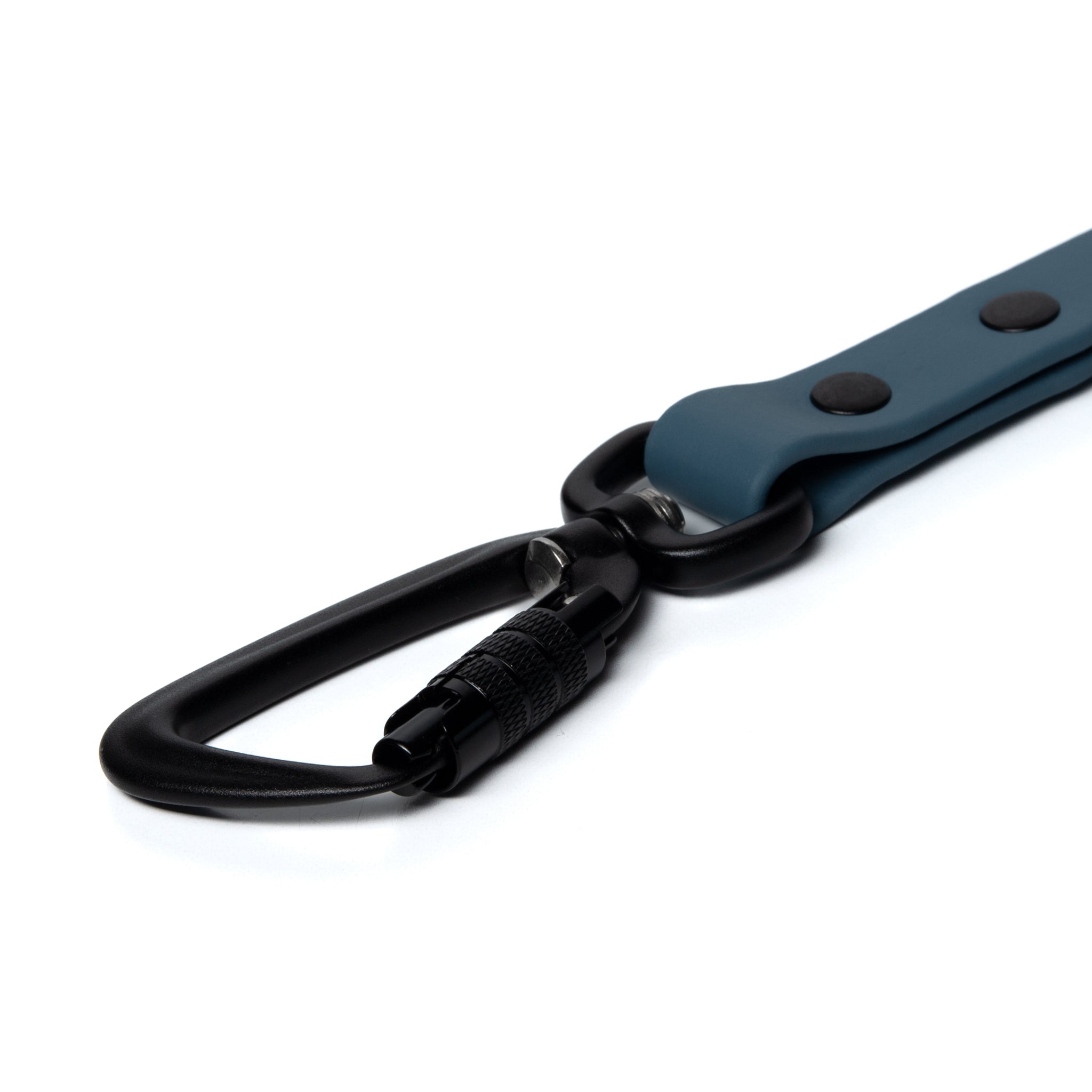 BioThane® Waterproof Dog Leash - Steel Blue