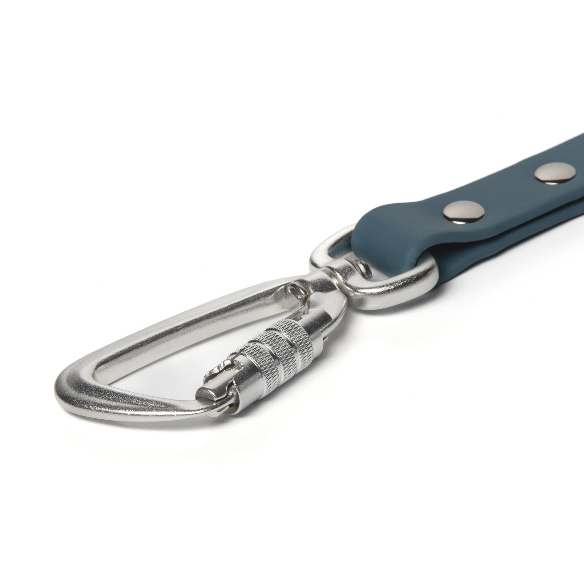 BioThane® Waterproof Dog Leash - Steel Blue