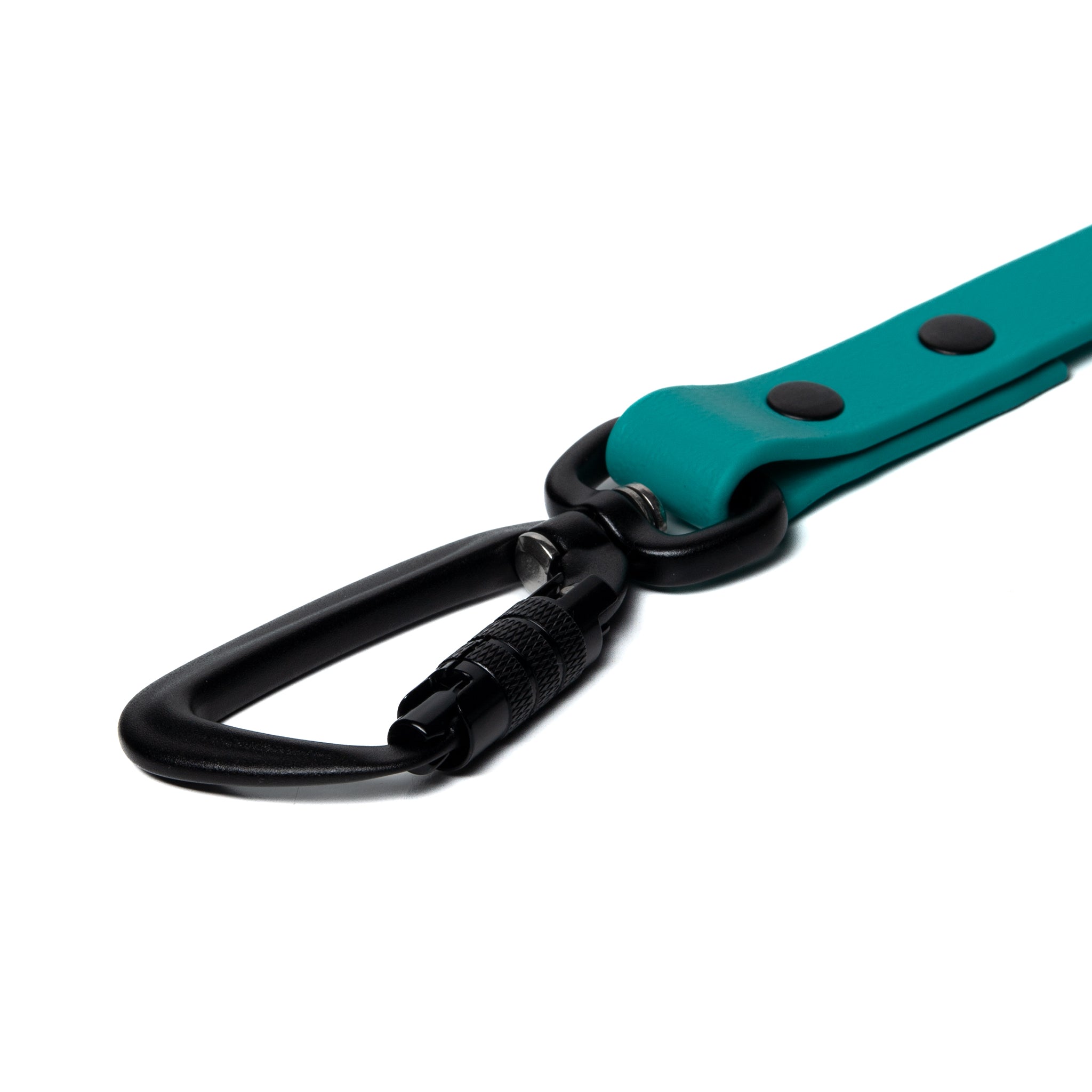 BioThane® Waterproof Dog Leash - Teal