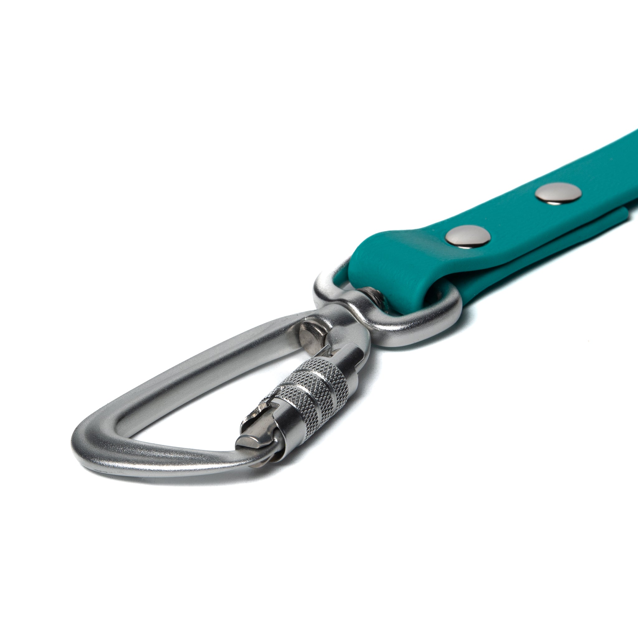 BioThane® Waterproof Dog Leash - Teal