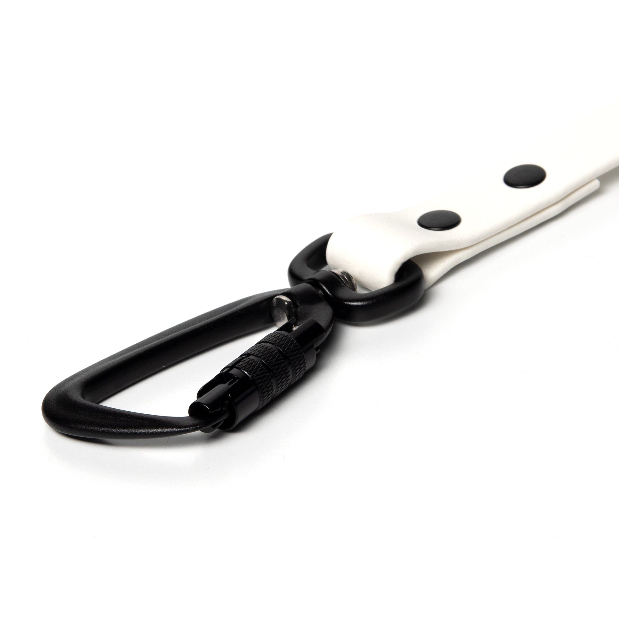 BioThane® Waterproof Dog Leash - White