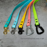 BioThane® Waterproof Dog Leash - Pastel Pink