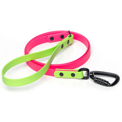 BioThane® waterproof two-tone dog leash by Vivid Canine — water-resistant and adventure-ready