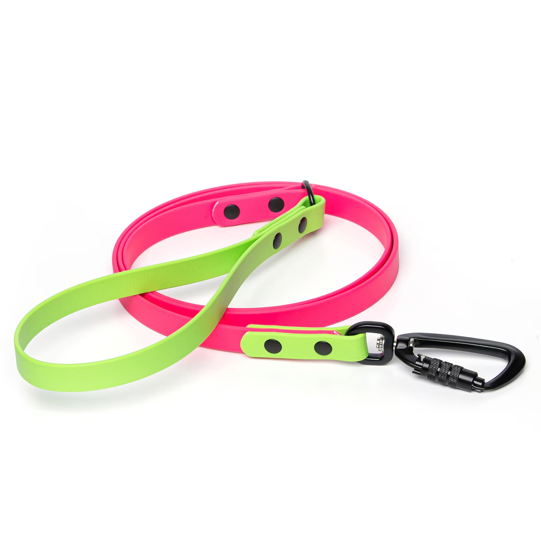 BioThane® waterproof two-tone dog leash by Vivid Canine — water-resistant and adventure-ready