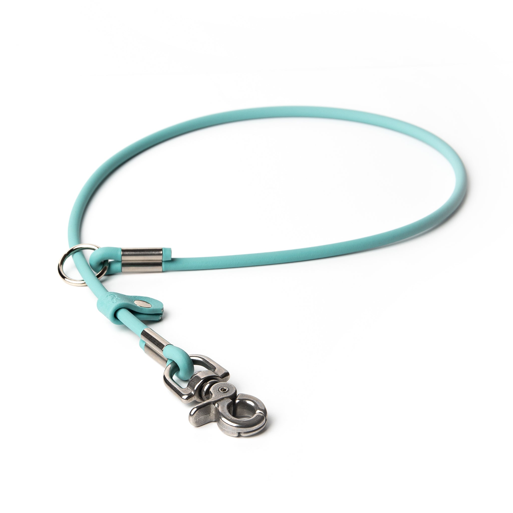 BioThane® slip-style grooming loop in Stainless Steel hardware — waterproof, made in USA