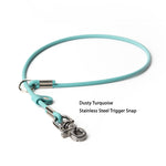 BioThane® slip-style grooming loop detail shot with text overlay — professional dog grooming gear