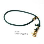 Rolled BioThane® slip-style grooming loop showing smooth construction and brass trigger snap hardware