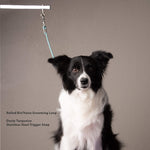 BioThane® slip-style grooming loop lifestyle product photo — Vivid Canine