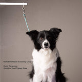 BioThane® slip-style grooming loop lifestyle product photo — Vivid Canine