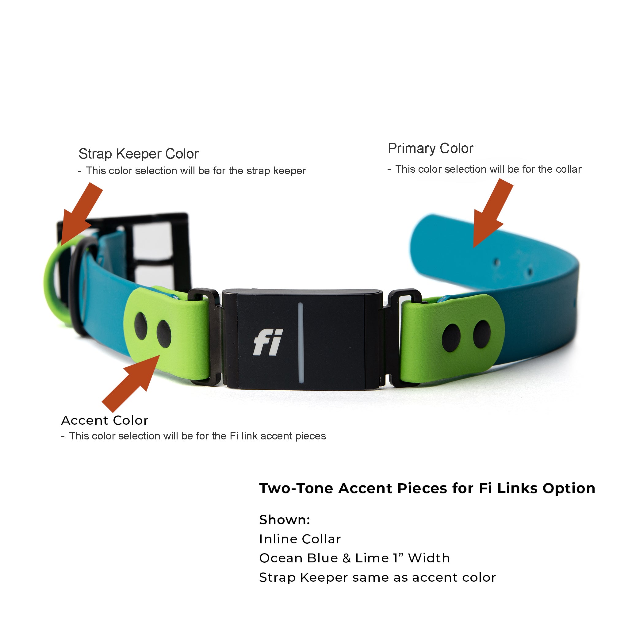 Two-tone Ocean Blue and Lime fi-compatible dog collar with a black buckle. The collar is 1 inch wide and features accent pieces and a strap keeper in lime green. The primary color is ocean blue.