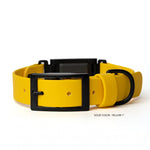 Yellow BioThane® Fi Series 3/3+ inline collar in 1" width showing buckle hardware — flat lay — Vivid Canine