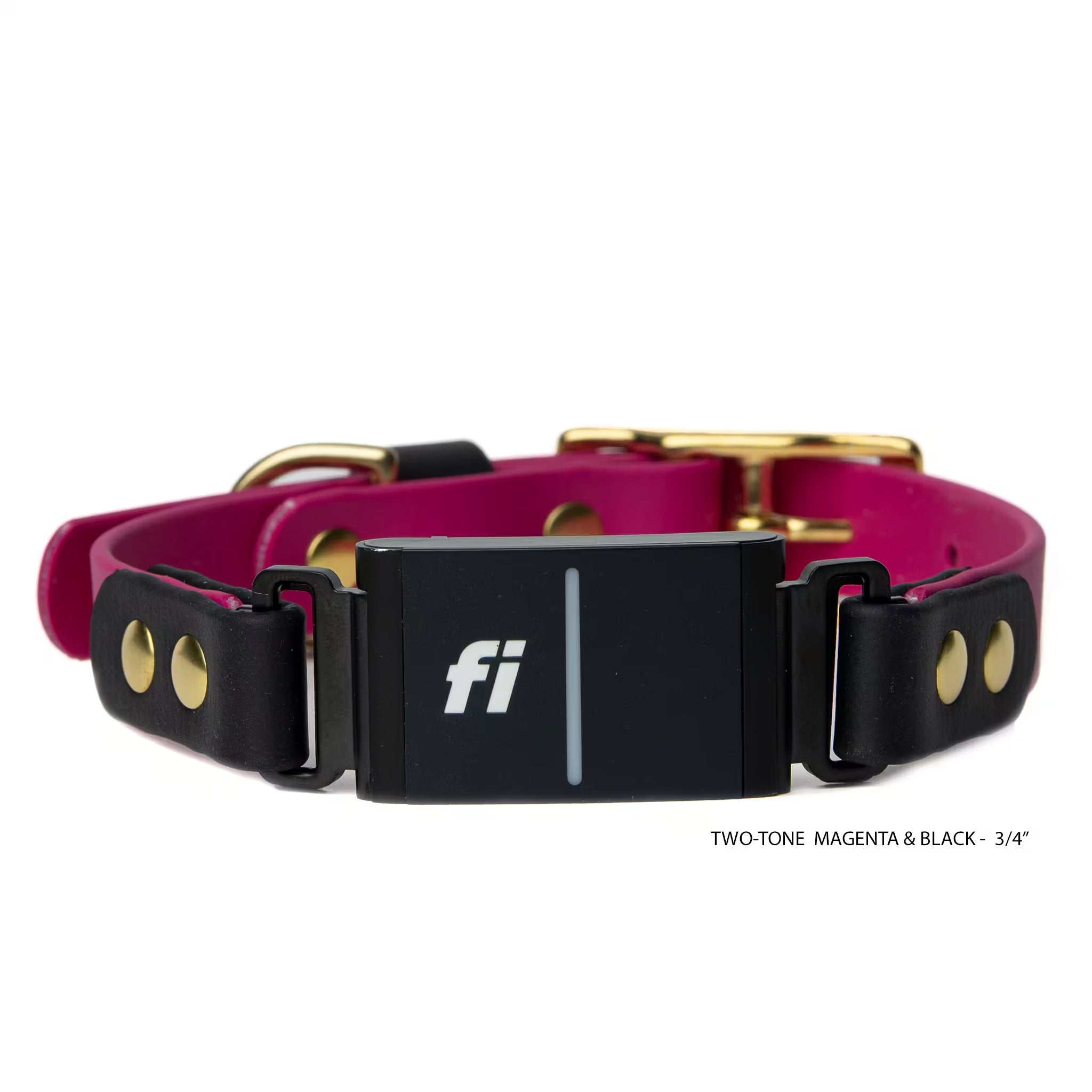 Magenta and black BioThane® Fi Series 3/3+ inline collar showing Fi device attachment — flat lay — Vivid Canine