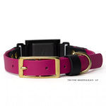 Magenta and black BioThane® Fi Series 3/3+ inline collar in 3/4" width showing buckle hardware — flat lay — Vivid Canine