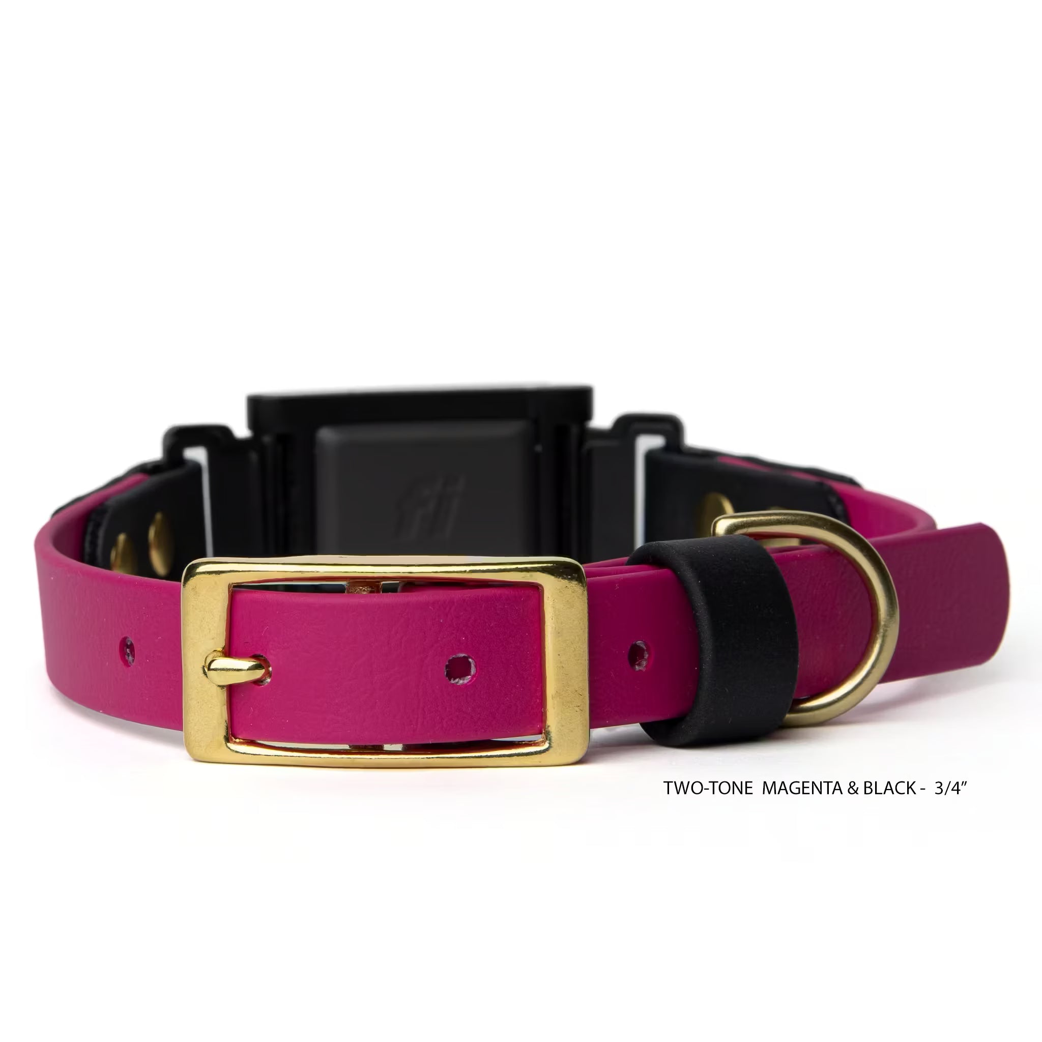 Magenta and black BioThane® Fi Series 3/3+ inline collar in 3/4" width showing buckle hardware — flat lay — Vivid Canine