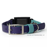 Dusty turquoise and purple two-tone BioThane® Fi Series 3/3+ inline collar in 3/4" width showing buckle hardware — flat lay — Vivid Canine