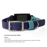 Dusty turquoise and purple two-tone BioThane® Fi Series 3/3+ inline collar in 3/4" width showing buckle hardware - Vivid Canine
