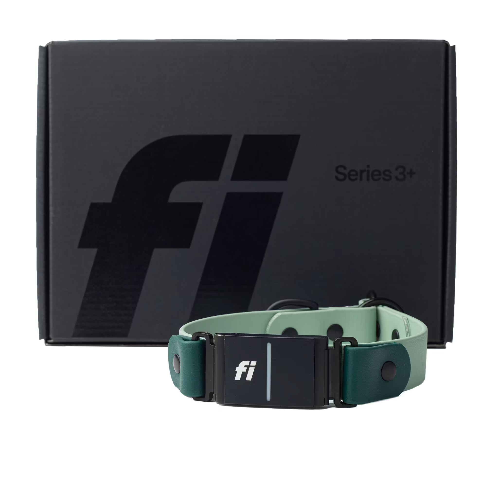 Green dog collar in front of a black box with 'fi' branding on a white background