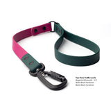 Two-Tone Biothane traffic leash in magenta and emerald with matte black hardware and carabiner with product details on a white background