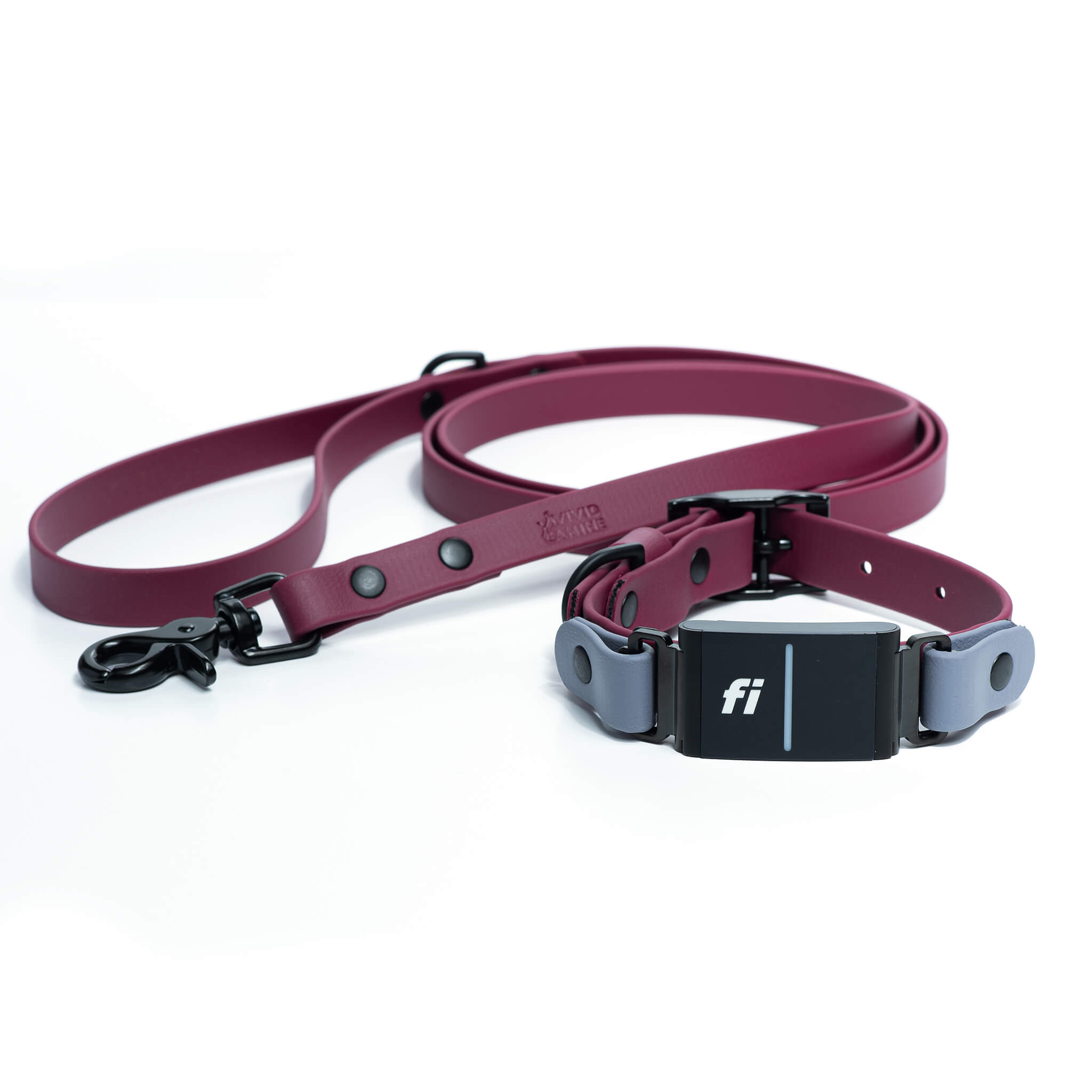 Waterproof BioThane Fi Series 3/3+  buckle collar and leash set in wine and stone grey colors with black hardware