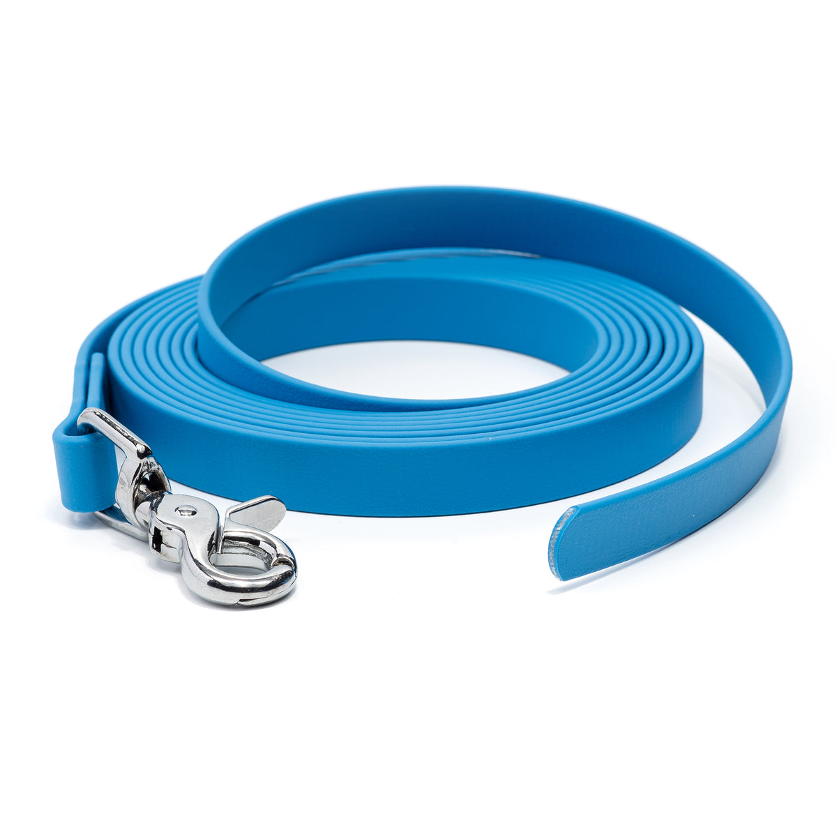 An azure blue biothane drag line with a chrome plated trigger snap coiled on a white background.