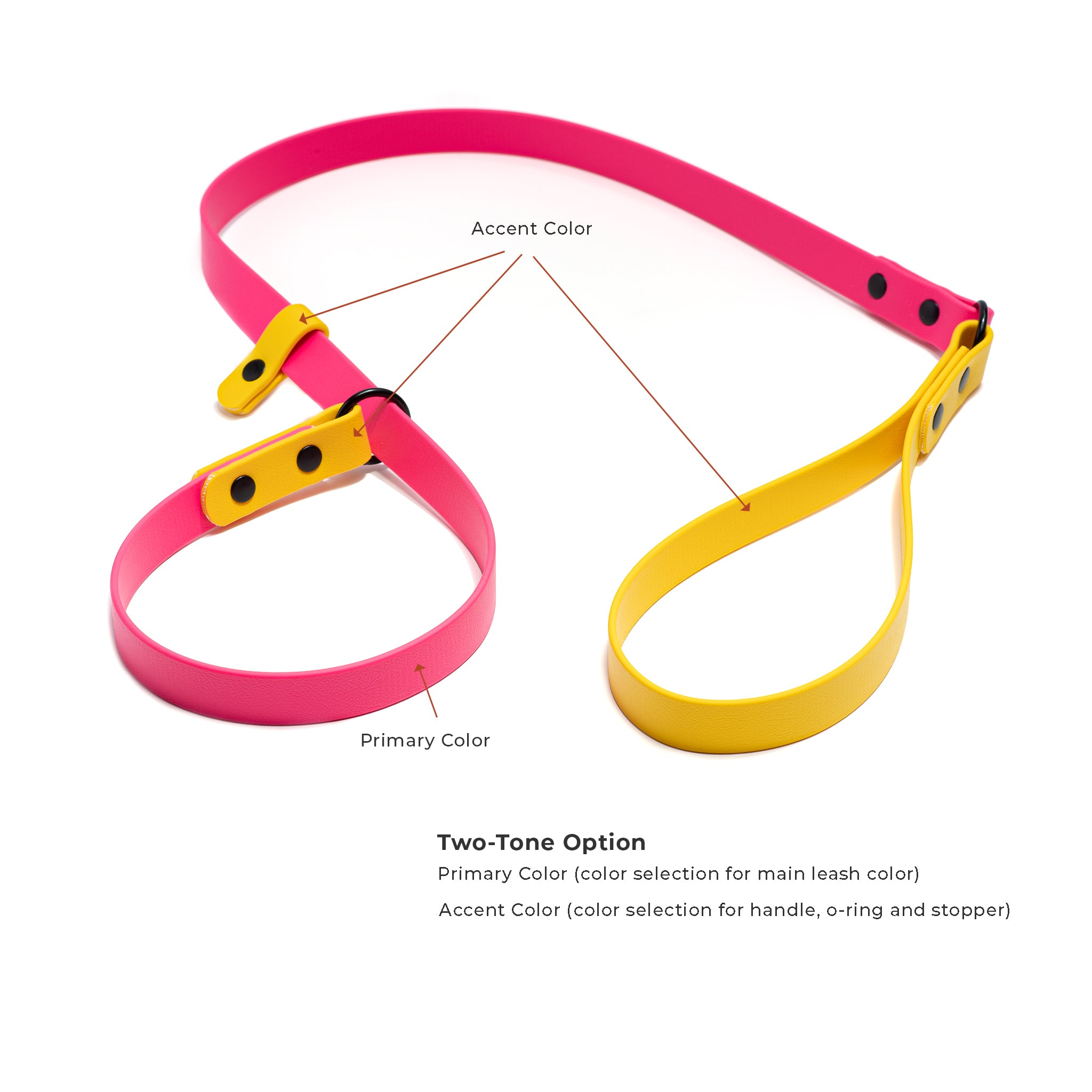 A two-tone Biothane standard slip lead in passion fruit and yellow shown on a white background with callout lines and text explaining the primary color and accent color options. 
