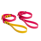 BioThane® Waterproof Slip Lead