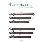 Comparison of BioThane training tab sizes with a measuring tape on a white background