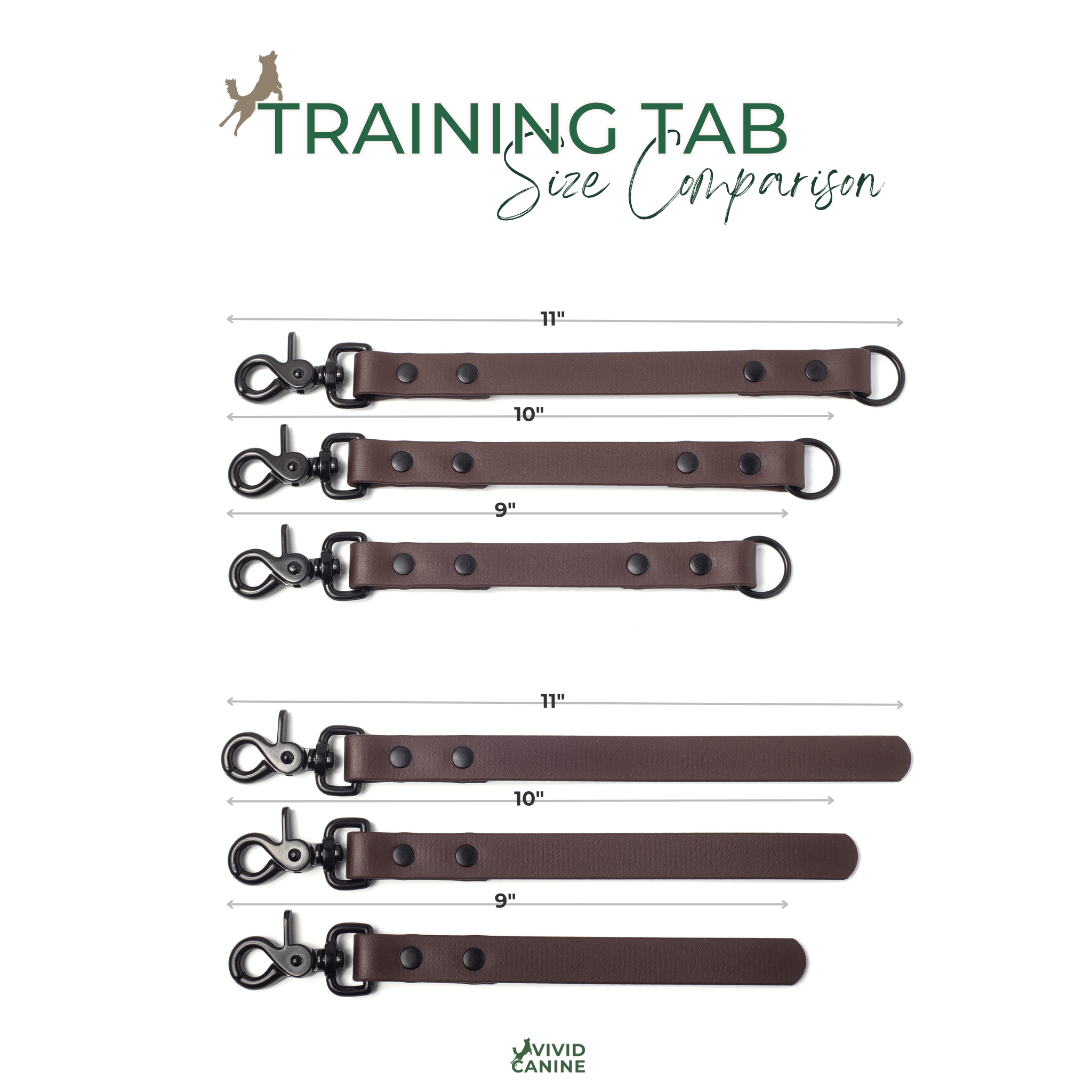 Comparison of BioThane training tab sizes with a measuring tape on a white background