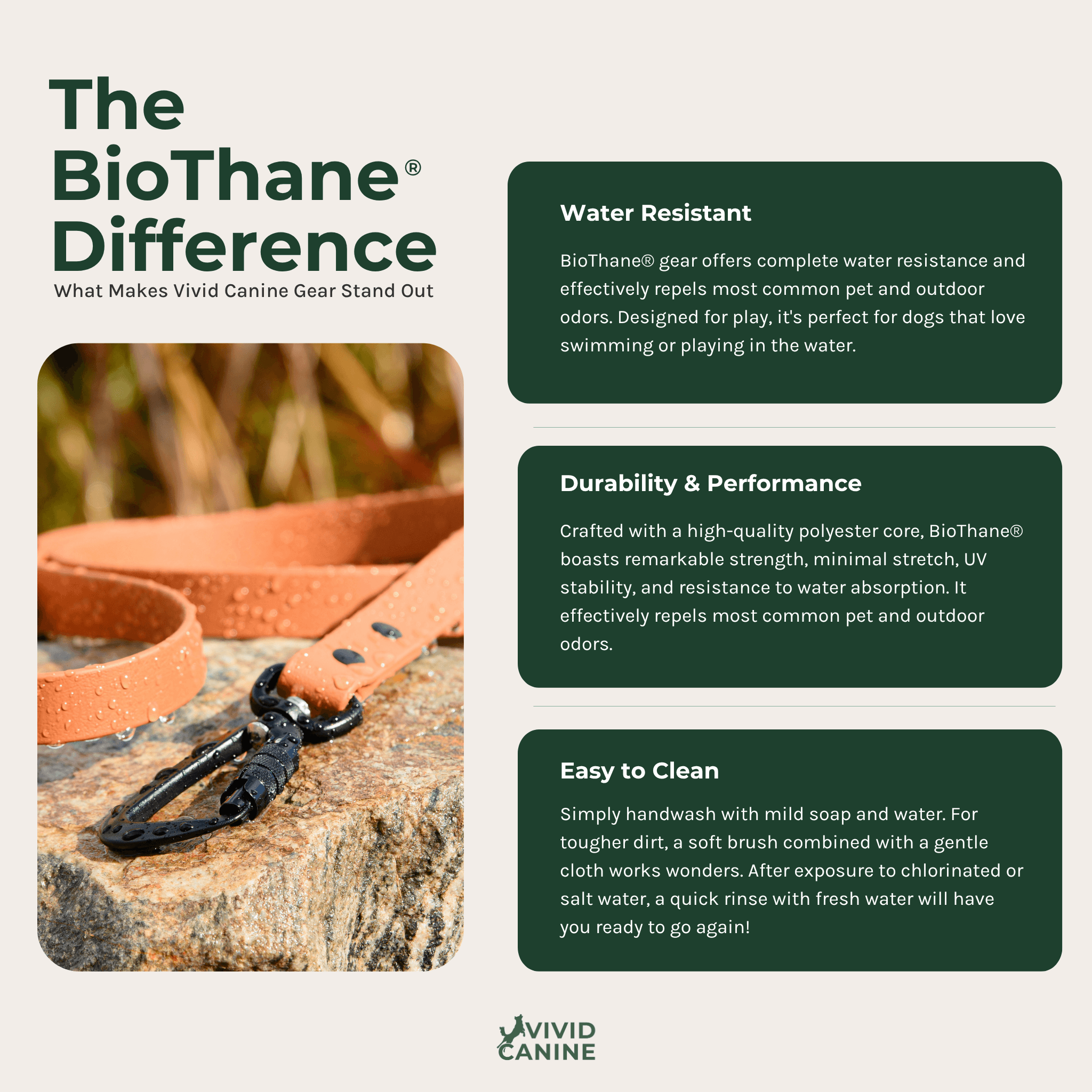 a BioThane water-resistant dog leash with a high-quality polyester core, designed for dogs that love swimming or playing in the water.