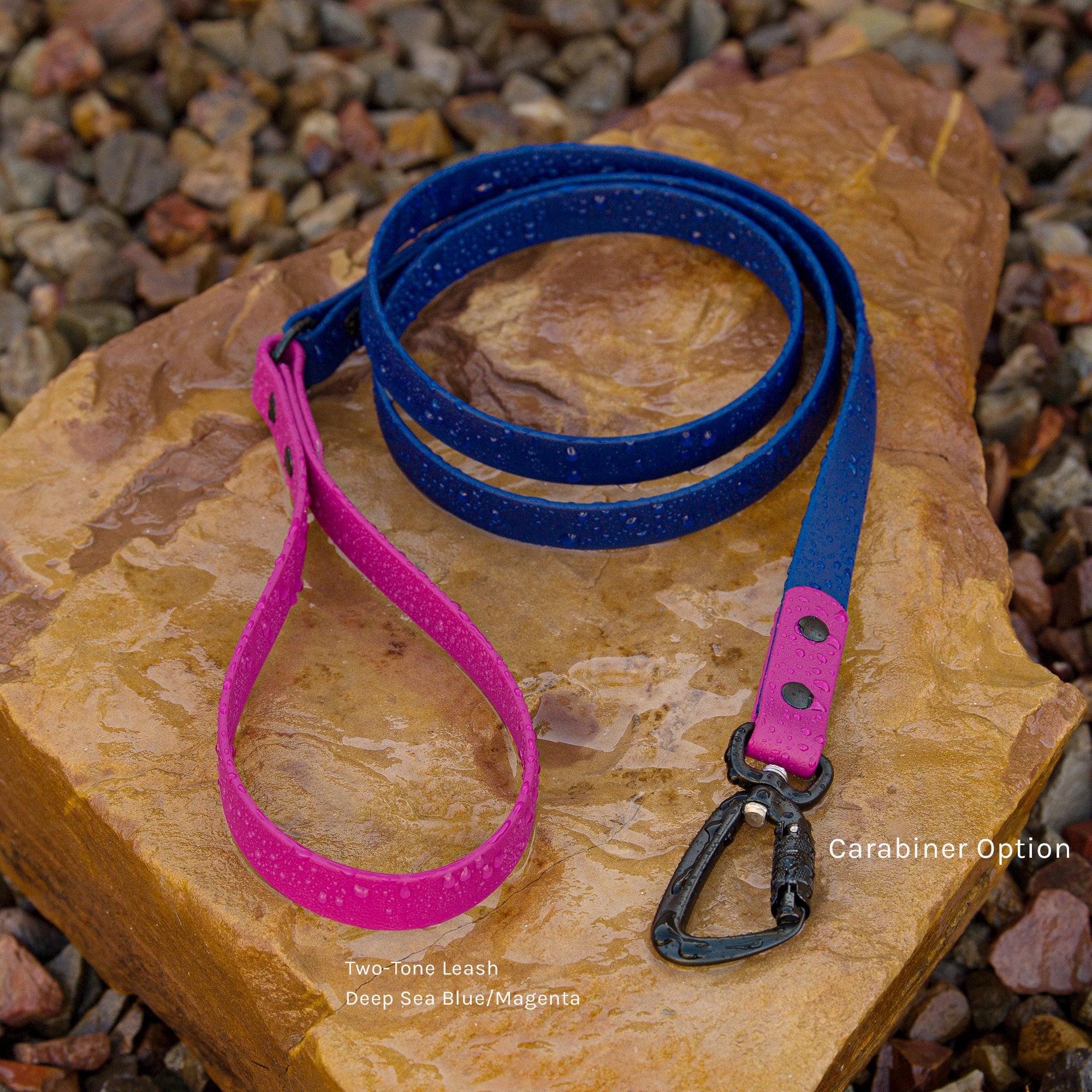 a blue leash with a pink handle on a rock
