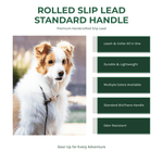 BioThane rolled slip lead with standard handle benefit callout infographic