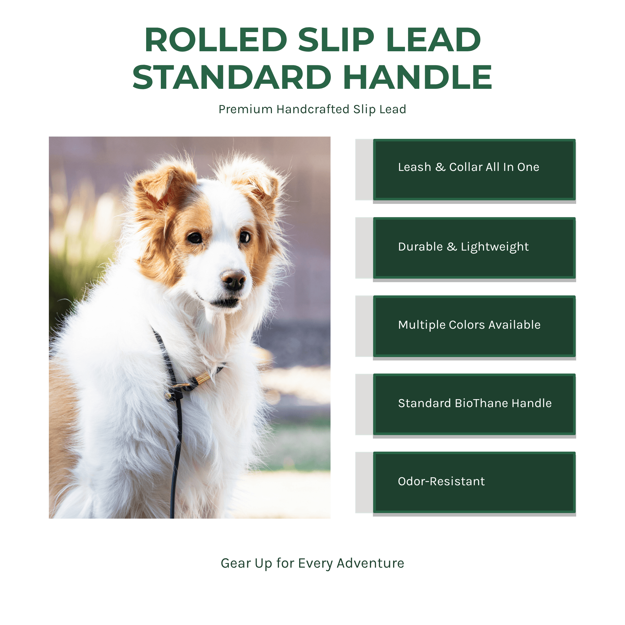BioThane rolled slip lead with standard handle benefit callout infographic
