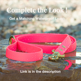 BioThane® Waterproof Buckle Dog Collar - Bubblegum Pink