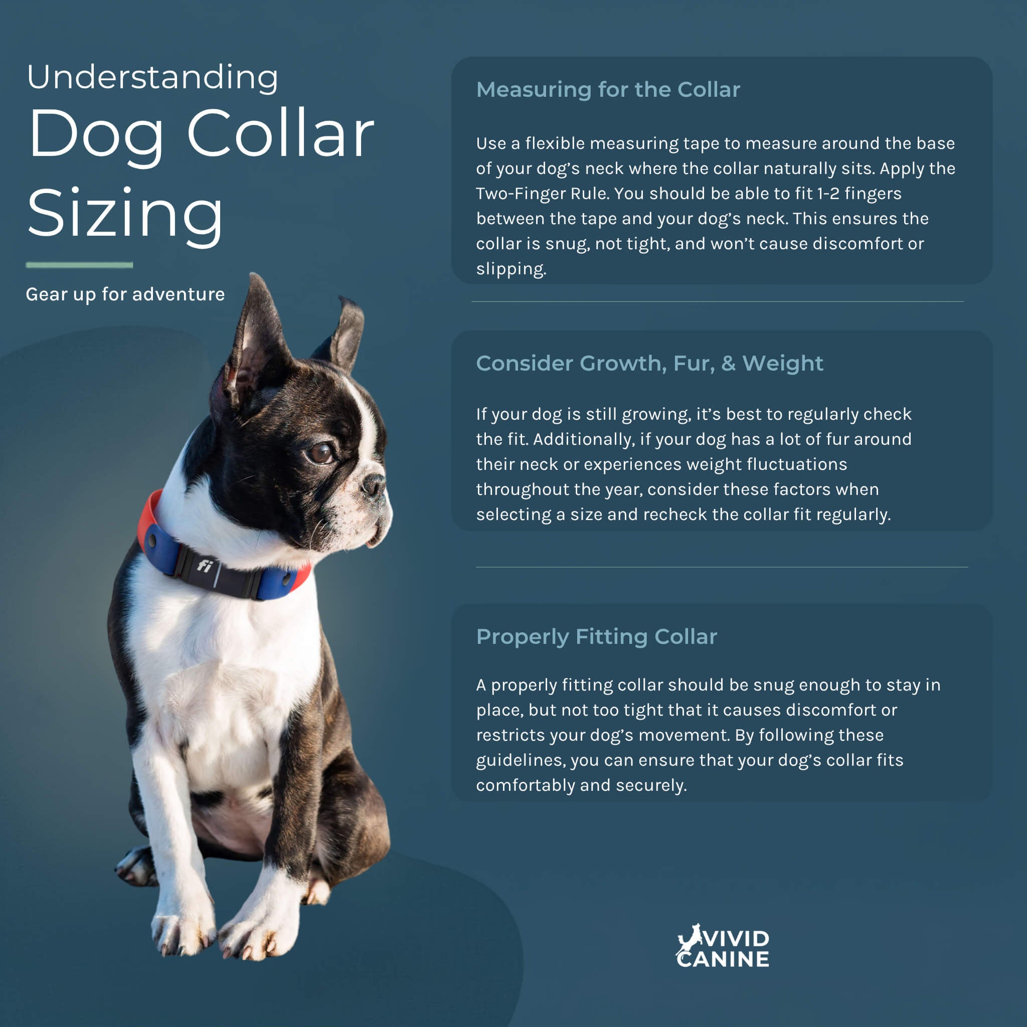 Vivid Canine Waterproof BioThane® buckle dog collar sizing guide