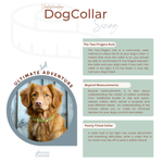 a dog collar is shown with a picture of a dog
