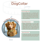 a dog collar is shown with a picture of a dog