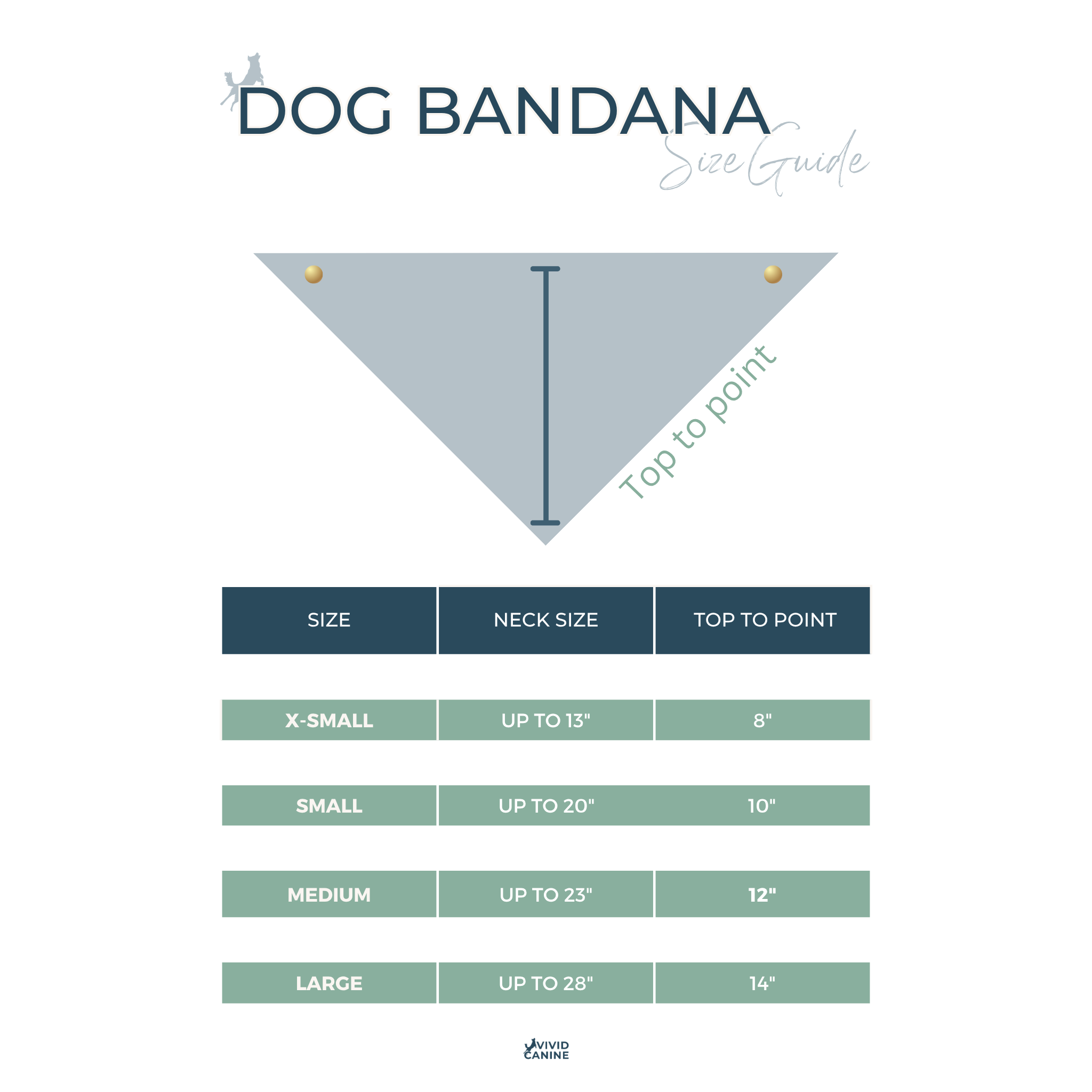 Dog Bandana Size Guide Infographic