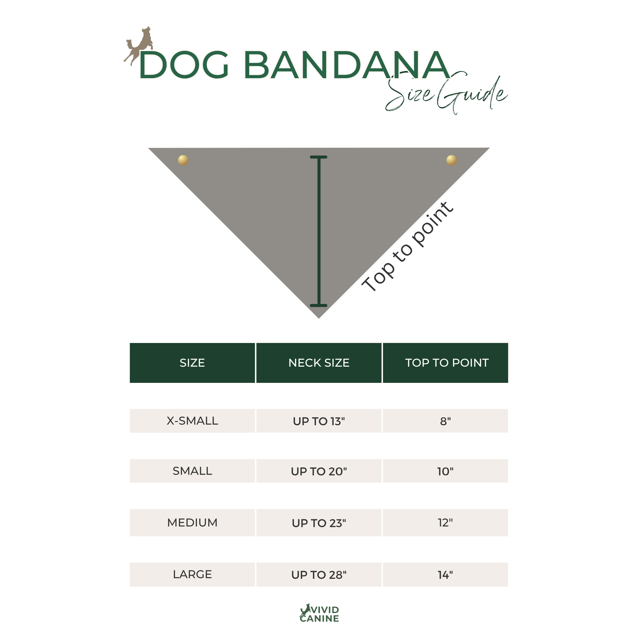 The image is a size guide for dog bandanas, providing measurements for different neck sizes and corresponding top to point measurements.