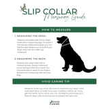 The image is a guide on how to measure a dog's neck and head using a measuring tape.