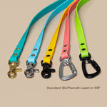 Waterproof BioThane standard 5/8" leashes in teal, sky blue, yellow, coral, and lime with brass, chrome, and matte black hardware