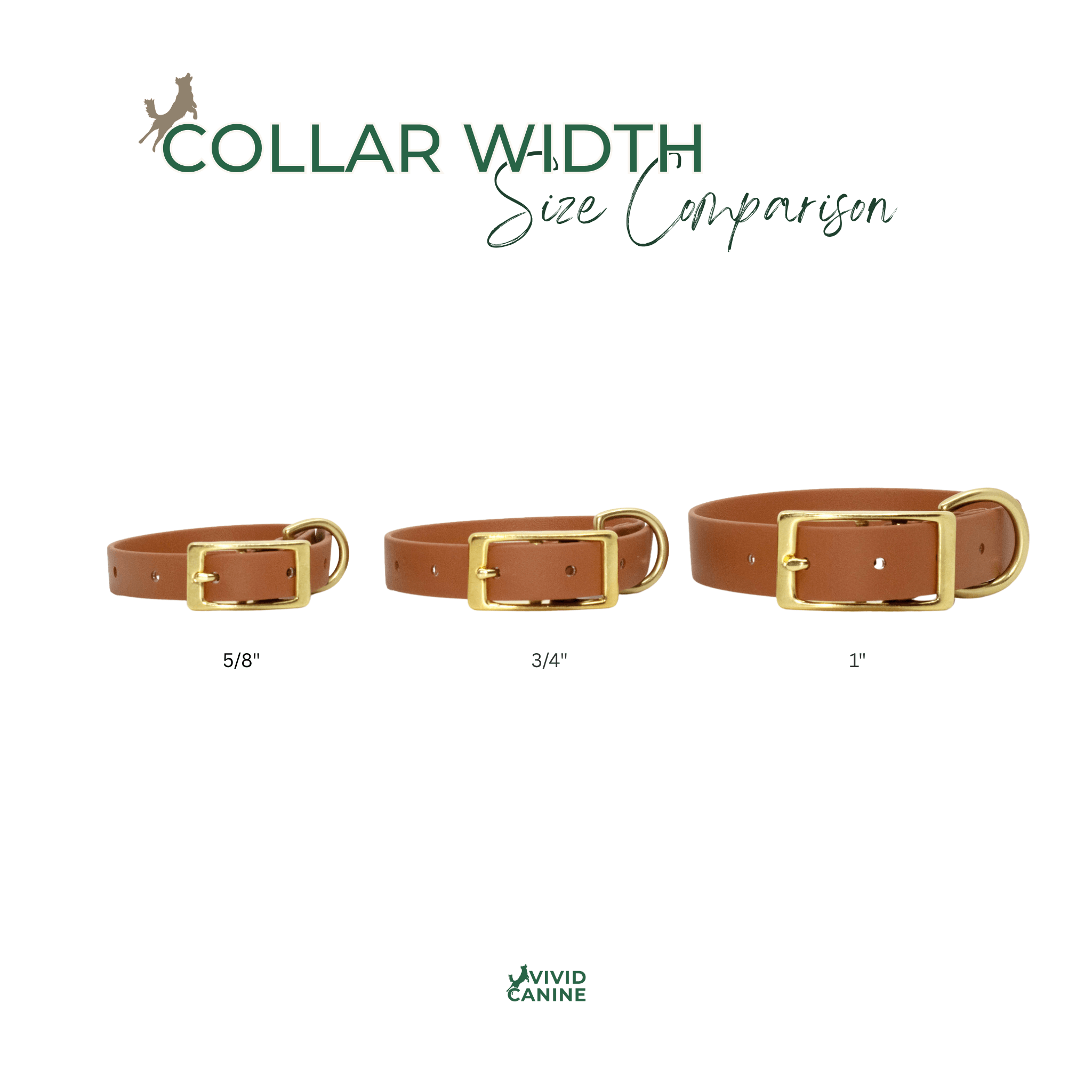 three different sizes of brown leather dog collars, each with a gold buckle, arranged in a row.