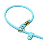 Close-up of a rolled BioThane slip lead with brass hardware. Waterproof design by Vivid Canine