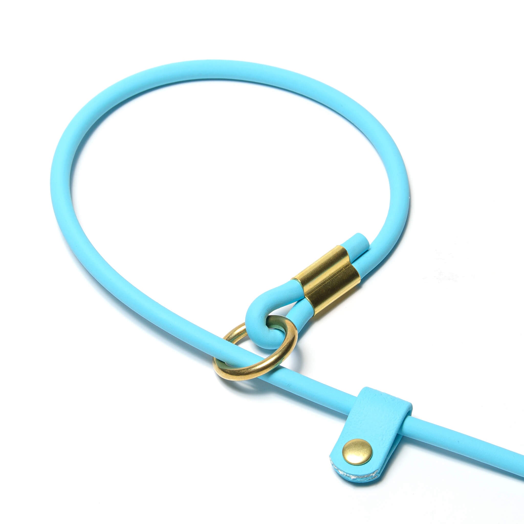 Close-up of a rolled BioThane slip lead with brass hardware. Waterproof design by Vivid Canine