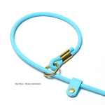 Close-up of a rolled BioThane slip lead with brass hardware. Waterproof design by Vivid Canine